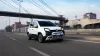 panda-4.webp